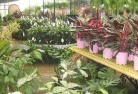 Binderaplant-nursery-7.jpg; ?>